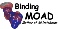 BindingMOAD logo